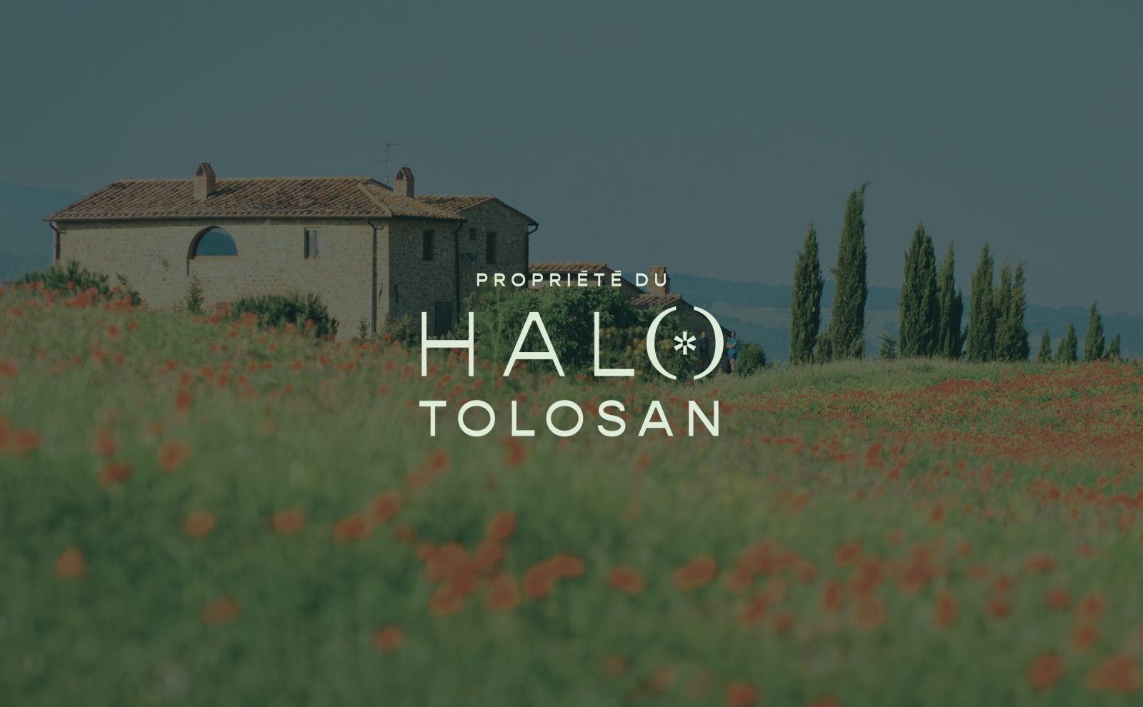 Découvrez le projet Propriété du Halo Tolosan